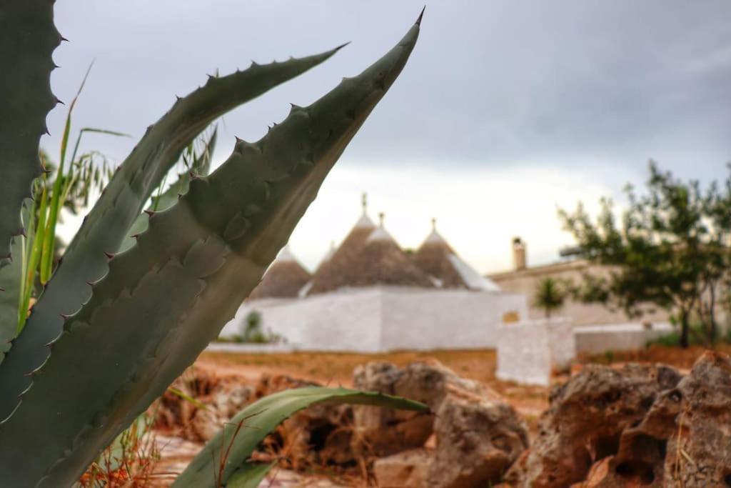 Vila I Trulli D'A Ross Ceglie Messapica Exteriér fotografie